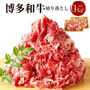 yӂ邳Ɣ[Łza ؂藎Ƃ 1kgi500g×2pbNjјa    Y Y a   Ԑg o o  Ⓚ 񂹃O ϔ  B 