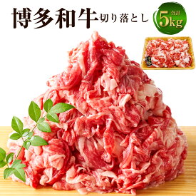 【ふるさと納税】博多和牛 切り落とし 5kg（500g×10パック）黒毛和牛 牛肉 肉 お肉 国産牛 国産牛肉 和牛 牛肩 肩肉 赤身 牛バラ バラ肉 料理 冷凍 お取り寄せグルメ 博多 九州 福岡県 福津市 送料無料 [F0097]