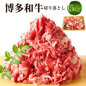 yӂ邳Ɣ[Łza ؂藎Ƃ 5kgi500g×10pbNjјa    Y Y a   Ԑg o o  Ⓚ 񂹃O  B  Îs 