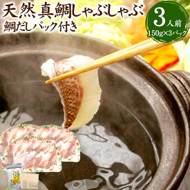 【ふるさと納税】みんなで食べ鯛！！鯛しゃぶたっぷり3人前 合計約450g（約150g×3パック） 天然鯛だしパック付き 天然真鯛 鯛しゃぶ しゃぶしゃぶ 魚 鯛 だし付き 鍋 セット 冷凍 国産 福岡県 福津市 送料無料 [F0108]
