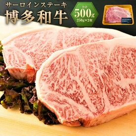 【ふるさと納税】博多和牛 サーロインステーキ セット 約500g（約250g×2枚） お肉 肉 和牛 黒毛和牛 サーロイン ステーキ ごちそう 冷凍 ギフト 化粧箱 贈答 国産 福津市 送料無料 ［G0128］
