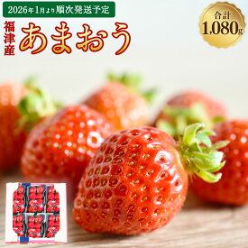 【ふるさと納税】福津産 あまおう 約180g×6パック 約1.08kg 【スカイフローラファーム】 いちご 苺 イチゴ フルーツ 九州 福岡 果物 冷蔵 福岡県 福津市 送料無料 【2026年1月より順次発送】 ［G0150］