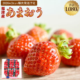 【ふるさと納税】福津産 あまおう 約180g×6パック 約1.08kg 【スカイフローラファーム】 いちご 苺 イチゴ フルーツ 九州 福岡 果物 冷蔵 福岡県 福津市 送料無料 【2026年3月より順次発送】 ［G0151］