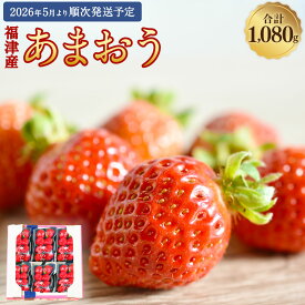【ふるさと納税】『空飛ぶあまおう』 福津産 あまおう 約180g×6パック 約1.08kg 【スカイフローラファーム】 いちご 苺 イチゴ フルーツ 九州 福岡 果物 冷蔵 福岡県 福津市 送料無料 【2026年5月より順次発送】 ［G0155］