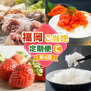 【ふるさと納税】【4回届く!コースC】福岡ご当地定期便 水炊きセット・辛子明太子切れ子・あまおう・精米 ★福岡の人気商品を4回お届け! 水たき 鍋料理 お鍋 めんたいこ 魚卵 魚介類 い