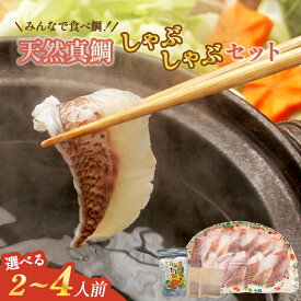 【ふるさと納税】【選べる容量】みんなで食べ鯛！！ 鯛しゃぶ 2人前 3人前 4人前 天然鯛だしパック付き 天然真鯛 鯛しゃぶ しゃぶしゃぶ 魚 さかな お魚 鯛 だし付き 鍋 セット 海鮮 冷凍 国産 福岡県 福津市 送料無料 [Z0107r] [Z0108r] [Z0109r]