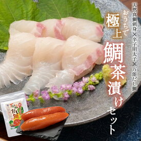 【ふるさと納税】おうちで 極上 鯛茶漬けセット（明太子 天然真鯛刺身 だしパック 付き） 明太 辛子明太子 真鯛 鯛 刺身 白身魚 魚 お茶漬け 出汁 小分け 福岡県 福津市 冷凍 送料無料 [Z0226]