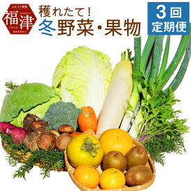 【ふるさと納税】【年3回定期便】穫れたて！ 冬野菜・果物 定期便 あんずの里 計3回 (1月・2月・3月) 10品目×3回 野菜 果物 フルーツ 旬 セット 詰め合わせ 福岡県産 九州産 国産 送料無料 [G7005]