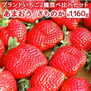 yӂ邳Ɣ[ŁzY uh 2 Hה׃Zbg ܂ ̂ e2pbN v1,160g C`S t[c ʕ   fU[g ①  y2026N1菇