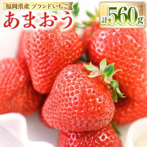 yӂ邳Ɣ[ŁzY uh ܂ 280g×2pbN v560g 񂸂̗   C`S t[c ʕ Y B ①  Îs  y2026N1菇zmG016
