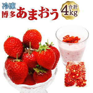 yӂ邳Ɣ[ŁzⓀ ܂ 800g×5 v4kg Hp ܂ ܂   C`S Ⓚ܂ Ⓚ Ⓚ ⓀC`S Ⓚt[c ʕ  t[c 