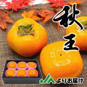 yӂ邳Ɣ[Łz H̃t[c̉l uh` uHv ϔ 1.75kg 5`6 `  JL H  t[c  ʕ ① Y  y2025N10{`11{