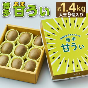 yӂ邳Ɣ[ŁzuhLECt[cuÂvϔ  9 1.4kg ʕ ʎ IWii ①  y2025N11`12oׁzmF2279an