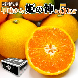 【ふるさと納税】 JAむなかた ブランドみかん 【姫の神】 （早味かん） 約5kg みかん ミカン 蜜柑 姫の神 早味かん 極早生みかん 柑橘 柑橘類 フルーツ くだもの 果物 常温 福岡県産 送料無料 【2024年9月中旬より順次発送】[F2281]