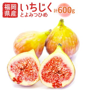 yӂ邳Ɣ[ŁzY Ƃ݂Ђ 300g×2pbN v600g C`WN  ԉ t[c  ʕ ① Y y2025N8菇zmF2298an