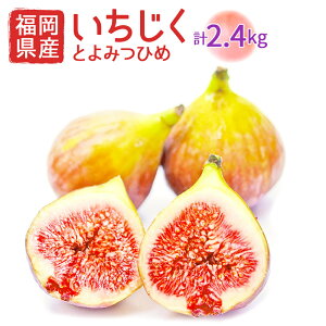 yӂ邳Ɣ[ŁzY Ƃ݂Ђ 300g×8pbN v2.4kg C`WN  ԉ t[c  ʕ ① Y  y2025N8菇zmF2299an