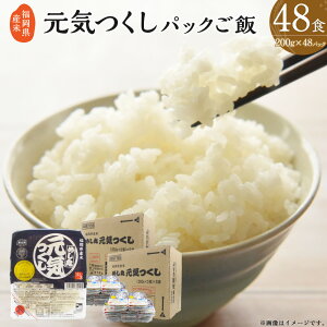 yӂ邳Ɣ[ŁzY Y C pbN  200g×48pbN pbN͂   ͂ CX ۑH ~ l炵 W W Z  [G2309]