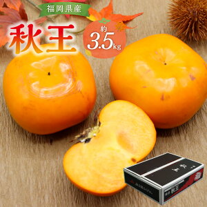 yӂ邳Ɣ[ŁzH̃t[c̉l uh ` H 3.5kg 6`14 t[c ʕ H̖o ① Y y2025N10{`11{z [F2321a]