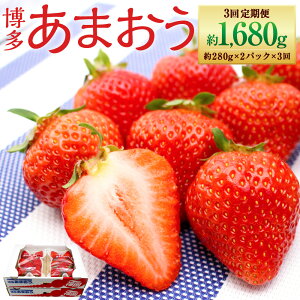yӂ邳Ɣ[ŁzyN3ցz ܂ 2pbN 560g×3 v1680g Y B Y C`S   ʕ  t[c \  y2026N2`4z [G5352a]