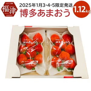 yӂ邳Ɣ[Łz܂ 280×4pbN 1120g Y B Y C`S   ʕ  t[c \ y2026N13E4E5蔭z [G2262]
