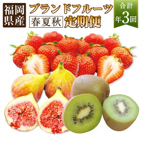 【ふるさと納税】【年3回春夏秋】福岡 ブランド フルーツ 定期便 （3～4・8～9・11月）【随時開始】 合計約3720g 果物 あまおう （約280g×4パック） とよみつひめ （約300g×4パック） 博多甘うぃ （約1.4kg） いちご 苺 いちじく キウイ 福津市 送料無料 [F5410]