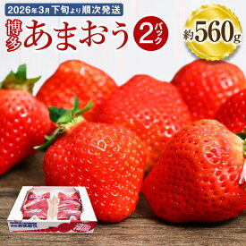【ふるさと納税】博多あまおう 約280×2パック 約560g 国産 九州 福岡県産 イチゴ いちご 苺 果物 くだもの フルーツ 予約 送料無料【2026年3月下旬より順次発送】先行予約 令和8年産 受付開始 [G2211a]