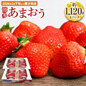 yӂ邳Ɣ[Łz܂ 280×4pbN 1120g Y B Y C`S   ʕ  t[c \ y2026N3{菇zs\ ߘa8NY tJn[G