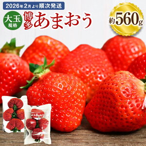 yӂ邳Ɣ[ŁzʋKi ܂ 280×2pbN 560g Y B Y C`S   ʕ  t[c \ y2026N2菇z[G2224]