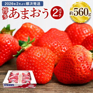 yӂ邳Ɣ[Łz܂ 280×2pbN 560g Y B Y C`S   ʕ  t[c \ y2026N2菇zs\ ߘa8NY tJn[G2242]