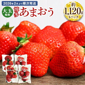 【ふるさと納税】博多あまおう 約280×4パック 約1120g 国産 九州 福岡県産 イチゴ いちご 苺 果物 くだもの フルーツ 予約 送料無料【2026年2月より順次発送】[G2243]