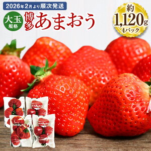 yӂ邳Ɣ[ŁzʋKi ܂ 280×4pbN 1120g Y B Y C`S   ʕ  t[c \ y2026N2菇zs\ ߘa8NY t
