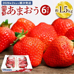 yӂ邳Ɣ[Łz ܂  6pbN v1.5kg 1pbN 250g 4`12   C`S  Îs @s t[c ʕ  ʎ ① y2026N2菇