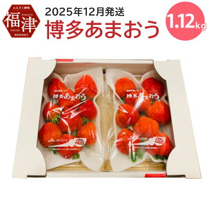 yӂ邳Ɣ[Łz܂ 280×4pbN 1120g Y B Y C`S   ʕ  t[c \ y2025N12z[G2261]