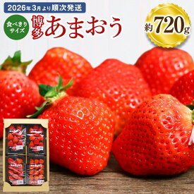 【ふるさと納税】食べきりサイズ 博多あまおう 約180g×4パック 約720g 国産 九州 福岡県産 イチゴ いちご 苺 果物 くだもの フルーツ 予約 送料無料【2026年3月より順次発送】[G2318]