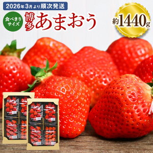 yӂ邳Ɣ[ŁzHׂTCY ܂ 180g×8pbN 1440g Y B Y C`S   ʕ  t[c \ y2026N3菇z[G2319]