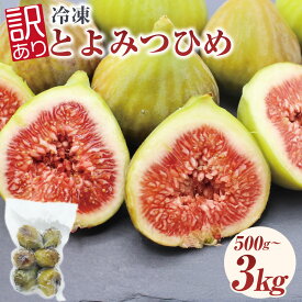 【ふるさと納税】【選べる容量】福岡県産 いちじく「とよみつひめ」 計500g 計1kg 計2kg 計3kg イチジク 無花果 くだもの 果物 果実 フルーツ 訳あり 訳アリ 訳あり品 真空パック シャーベット 冷凍 国産 九州 福岡県 福津市 送料無料 [G2325][G2326][G2327][G2328]
