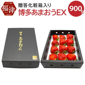 yӂ邳Ɣ[Łz ܂ EX ϔ 450g×2 v900g C`S   ʕ  t[c  Y B Y ① y2025N12z[G2248]