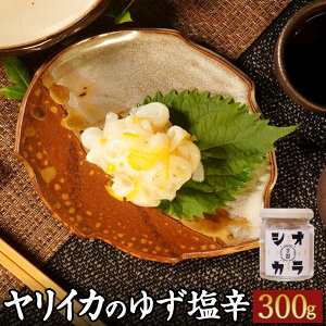 【ふるさと納税】『舌鼓』玄界灘産 ヤリイカのゆず塩辛【冷凍】瓶詰め 合計300g 100g×3本 小分け ヤリイカ 塩辛 イカの塩辛 いかの塩辛 塩辛 柚子 ゆず ユズ イカ 珍味 おつまみ ごはんのお供