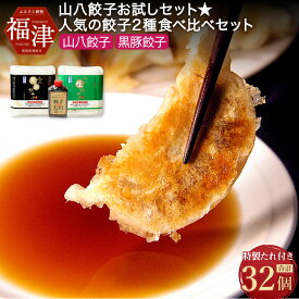 【ふるさと納税】山八餃子お試しセット★ 人気の餃子2種 食べ比べセット（山八餃子・黒豚餃子）【特製たれ付】計32個 冷凍 豚 黒豚 餃子 ぎょうざ ギョーザ 惣菜 中華惣菜 点心 中華 中華点心 国産 九州産 送料無料 [F4429]