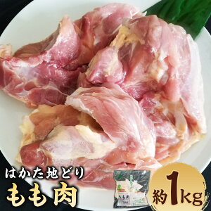 yӂ邳Ɣ[Łz͂nǂ  1kg {   n{ CmV_ Ⓚ Y Y B  ͎s 