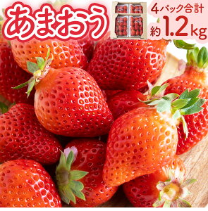 �y�ӂ邳�Ɣ[�Łz ��N������ ���܂����C�`�S (300g×4�p�b�N) ���܂��� ������ �C�`�S � �t���[�c �ʕ� �① �������� ������ �����͎s �y2025�N12�����{����2026�N3�����͂��z