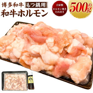 yӂ邳Ɣ[Łz yazp az500g (ƐzĂ̂t) c zĂ   Ⓚ   ͎s