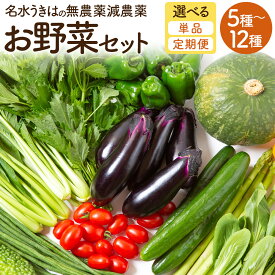 【ふるさと納税】【選べる種類】UIC 名水うきはのお野菜セット 野菜 定期便 詰め合わせ 野菜詰め合わせ 冷蔵 送料無料 福岡県 うきは市