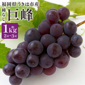 【ふるさと納税】【先行予約】 やりみず農園 種なし 巨峰 2房から3房（約1kg） 【2026年8月上旬〜下旬発送予定】 種なし巨峰 ぶどう ブドウ 葡萄 くだもの 果物 フルーツ 果実 福岡県 うきは市 送料無料