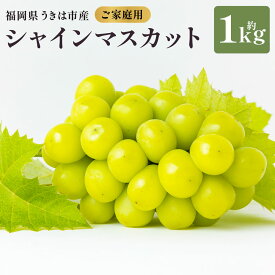 【ふるさと納税】【先行予約】 やりみず農園 農家応援！ ご家庭用 シャインマスカット（約1kg） 【2026年8月下旬〜9月上旬発送予定】 シャインマスカット ぶどう ブドウ 葡萄 くだもの 果物 フルーツ 果実 果汁 送料無料 福岡県 うきは市