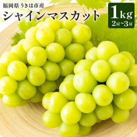 【ふるさと納税】【先行予約】 やりみず農園 農家厳選！ シャインマスカット 2房から3房（約1kg） 【2026年8月下旬〜9月上旬発送予定】 シャインマスカット ぶどう ブドウ 葡萄 くだもの 果物 フルーツ 果実 果汁 送料無料 福岡県 うきは市