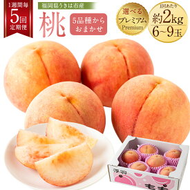 【ふるさと納税】 【2026年6月下旬-8月上旬発送予定】【1週間毎5回定期便】桃 約2kg（6-9玉） もも ピーチ フルーツ くだもの 果物 果実 冷蔵 お祝い 贈答用 福岡県 うきは市 送料無料