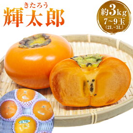 【ふるさと納税】輝太郎 約3kg 7-9玉(2L-3L) 【2026年9月下旬〜10月上旬発送予定】 柿 輝太郎柿 かき 果物 くだもの フルーツ グルメ おやつ 常温 送料無料 福岡県 うきは市