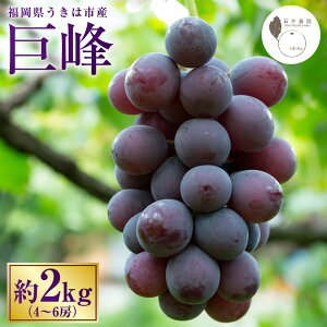 yӂ邳Ɣ[Łzys\zΈ_  4[6[ i2kgj y2026N8{`9{菇\z  Ԃǂ uhE  t[c ʕ ʎ ①   ͎s