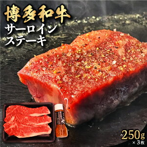 yӂ邳Ɣ[Łz yazT[CXe[L 250g×3 (Ɛ W|l\[Xt)   Xe[L Ԑg Ԑg aXe[L Jbg  Ⓚ   ͎s